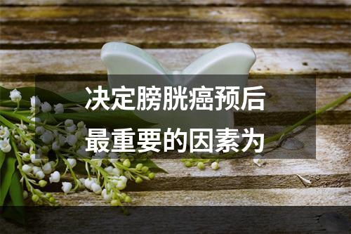 决定膀胱癌预后最重要的因素为