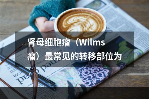 肾母细胞瘤（Wilms瘤）最常见的转移部位为