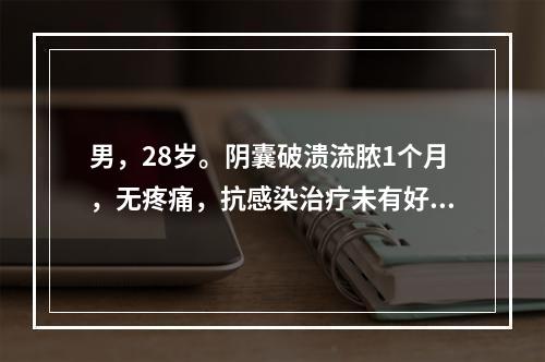 男，28岁。阴囊破溃流脓1个月，无疼痛，抗感染治疗未有好转，