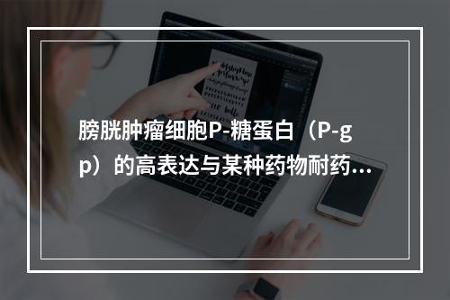 膀胱肿瘤细胞P-糖蛋白（P-gp）的高表达与某种药物耐药性有