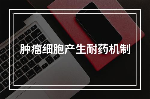 肿瘤细胞产生耐药机制