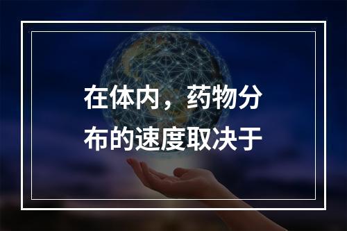 在体内，药物分布的速度取决于