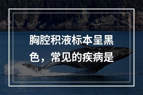 胸腔积液标本呈黑色，常见的疾病是