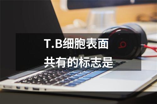 T.B细胞表面共有的标志是