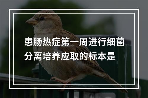 患肠热症第一周进行细菌分离培养应取的标本是