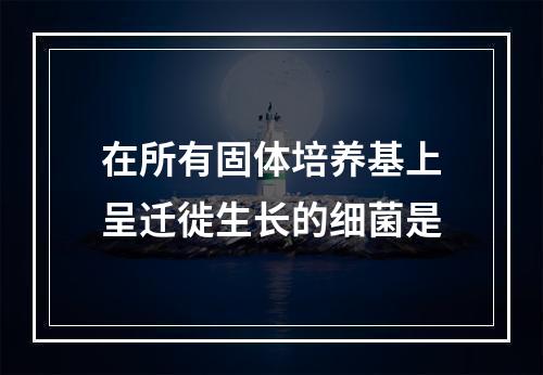 在所有固体培养基上呈迁徙生长的细菌是