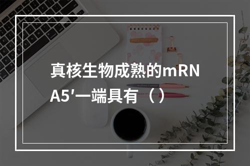 真核生物成熟的mRNA5′一端具有（ ）