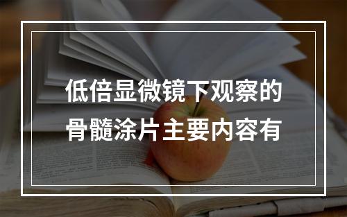 低倍显微镜下观察的骨髓涂片主要内容有