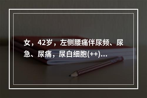 女，42岁，左侧腰痛伴尿频、尿急、尿痛，尿白细胞(++)，尿