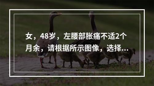 女，48岁，左腰部胀痛不适2个月余，请根据所示图像，选择最可