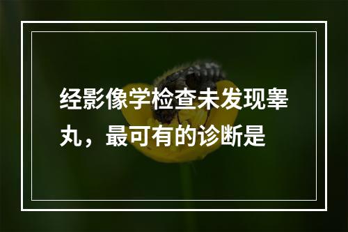 经影像学检查未发现睾丸，最可有的诊断是