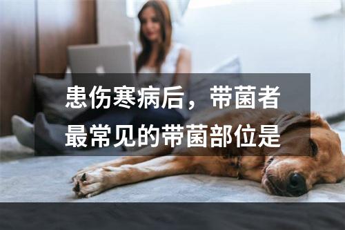 患伤寒病后，带菌者最常见的带菌部位是