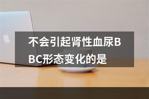 不会引起肾性血尿BBC形态变化的是