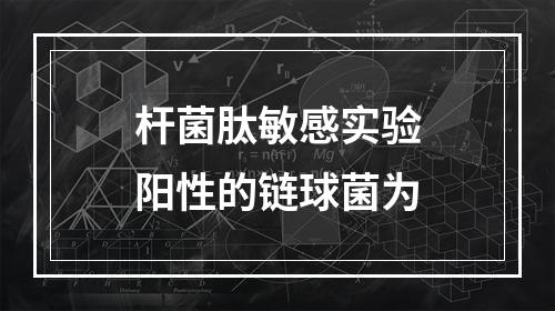 杆菌肽敏感实验阳性的链球菌为