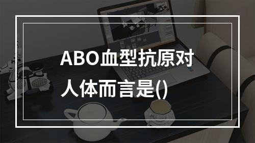 ABO血型抗原对人体而言是()