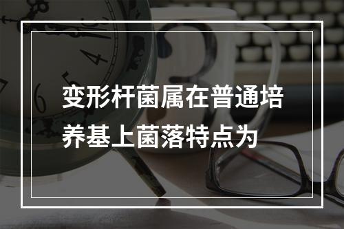 变形杆菌属在普通培养基上菌落特点为