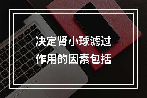 决定肾小球滤过作用的因素包括