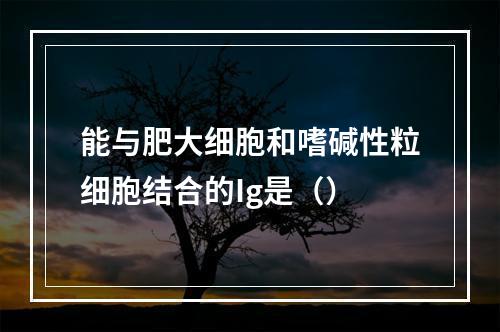 能与肥大细胞和嗜碱性粒细胞结合的Ig是（）