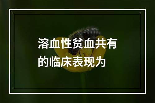 溶血性贫血共有的临床表现为