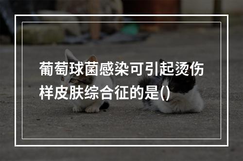 葡萄球菌感染可引起烫伤样皮肤综合征的是()