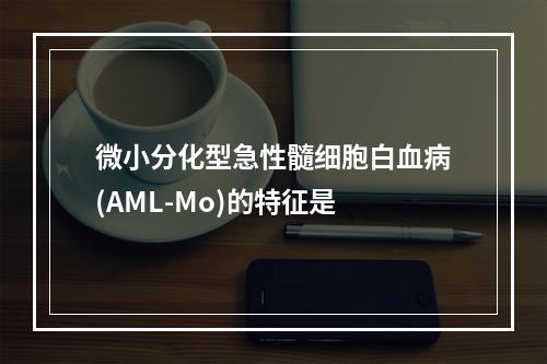 微小分化型急性髓细胞白血病(AML-Mo)的特征是