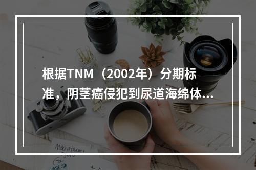 根据TNM（2002年）分期标准，阴茎癌侵犯到尿道海绵体，其