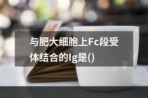 与肥大细胞上Fc段受体结合的Ig是()