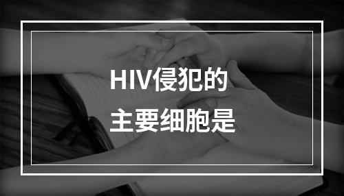 HIV侵犯的主要细胞是