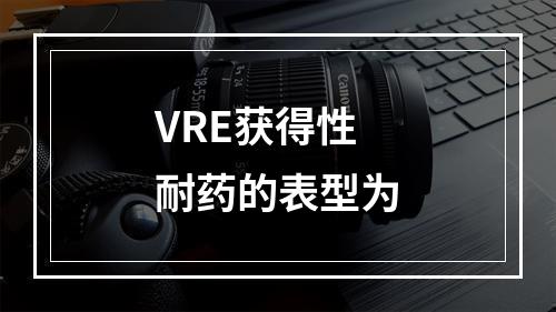 VRE获得性耐药的表型为