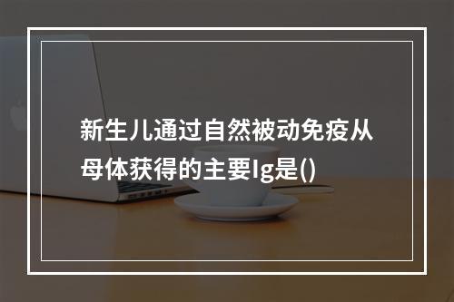 新生儿通过自然被动免疫从母体获得的主要Ig是()