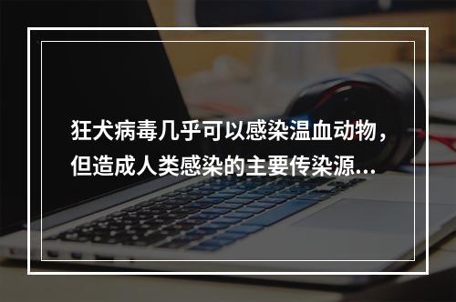 狂犬病毒几乎可以感染温血动物，但造成人类感染的主要传染源是下