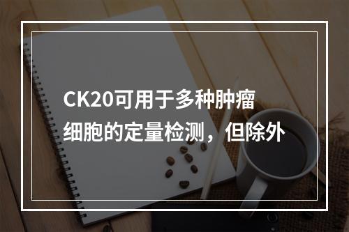 CK20可用于多种肿瘤细胞的定量检测，但除外