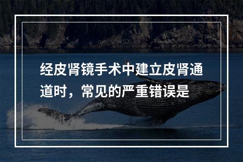 经皮肾镜手术中建立皮肾通道时，常见的严重错误是