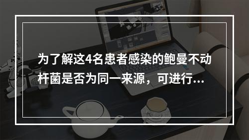 为了解这4名患者感染的鲍曼不动杆菌是否为同一来源，可进行的检