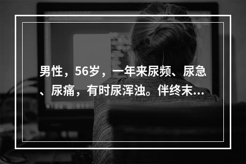 男性，56岁，一年来尿频、尿急、尿痛，有时尿浑浊。伴终末血尿