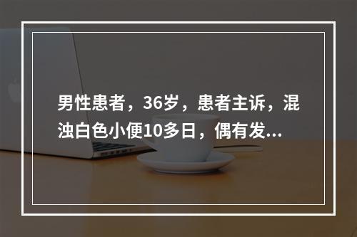 男性患者，36岁，患者主诉，混浊白色小便10多日，偶有发热，