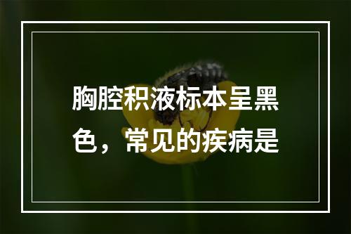 胸腔积液标本呈黑色，常见的疾病是