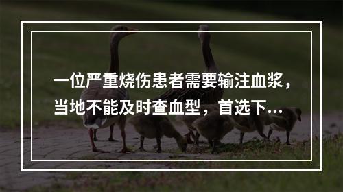 一位严重烧伤患者需要输注血浆，当地不能及时查血型，首选下列哪