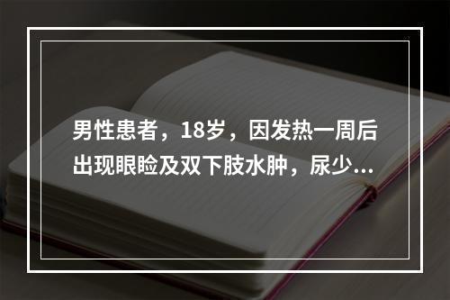 男性患者，18岁，因发热一周后出现眼睑及双下肢水肿，尿少，尿