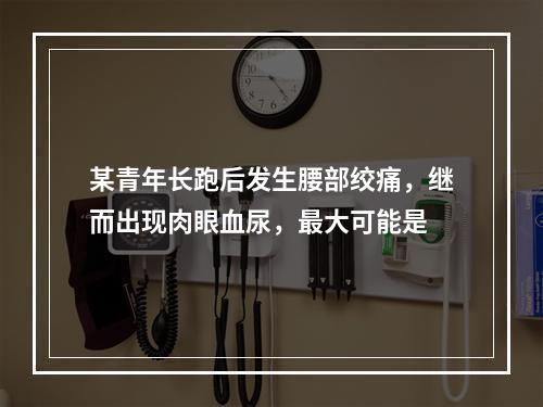 某青年长跑后发生腰部绞痛，继而出现肉眼血尿，最大可能是