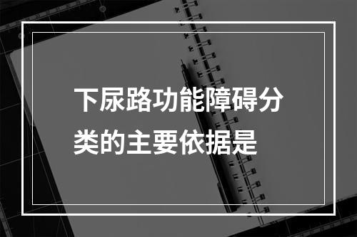 下尿路功能障碍分类的主要依据是