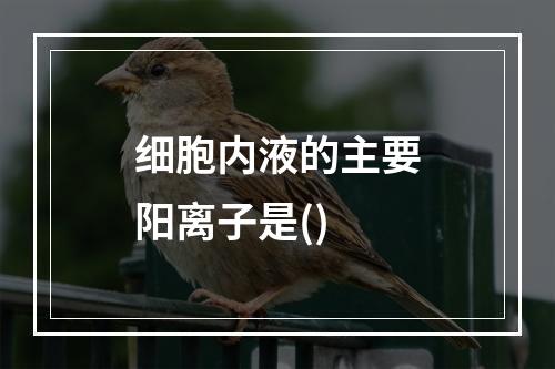 细胞内液的主要阳离子是()