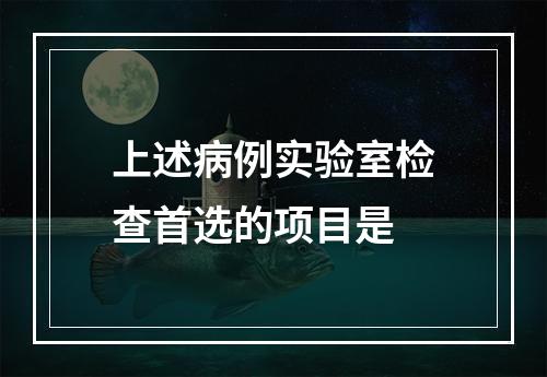 上述病例实验室检查首选的项目是