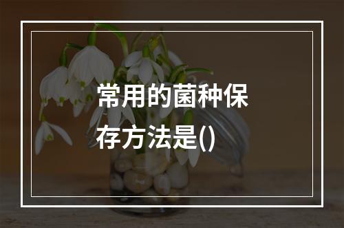 常用的菌种保存方法是()