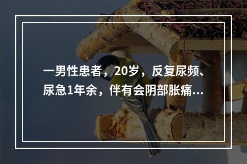 一男性患者，20岁，反复尿频、尿急1年余，伴有会阴部胀痛，饮