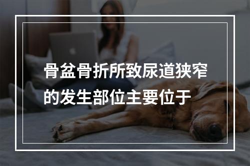 骨盆骨折所致尿道狭窄的发生部位主要位于