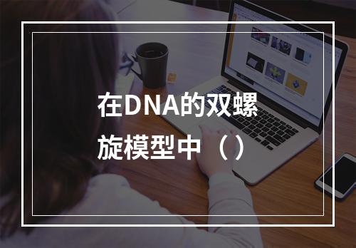 在DNA的双螺旋模型中（ ）