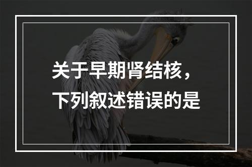 关于早期肾结核，下列叙述错误的是