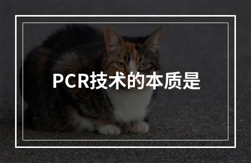 PCR技术的本质是