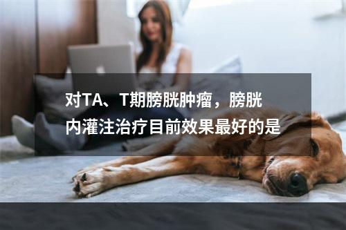 对TA、T期膀胱肿瘤，膀胱内灌注治疗目前效果最好的是